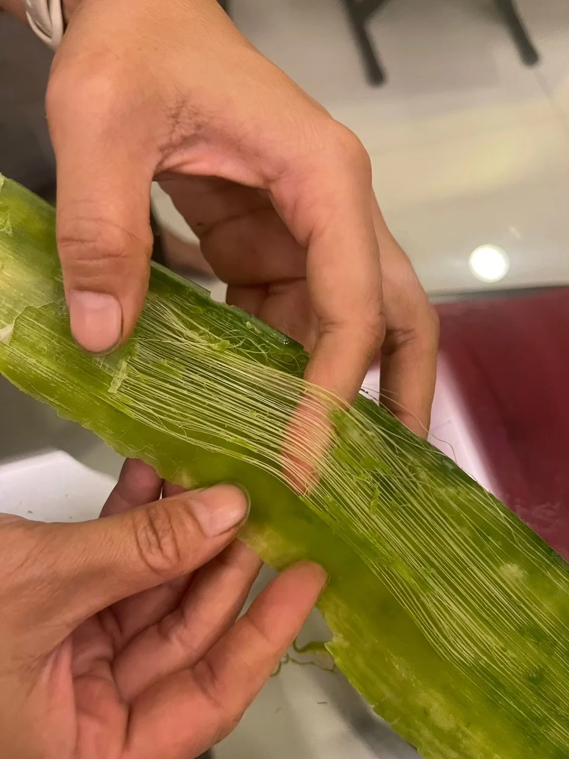 Hands working with a leaf material